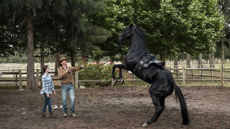 black beauty histoire vraie