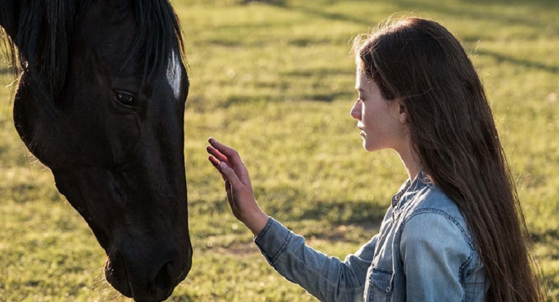 Black Beauty: ¿Dónde se filmó la película en Disney Plus? 2 donde se filma la belleza negra