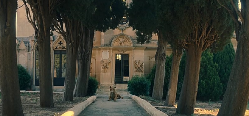 La vida frente a Soi: ¡Explicación del final de la película de Netflix! 2 la vida frente a ti termina netflix