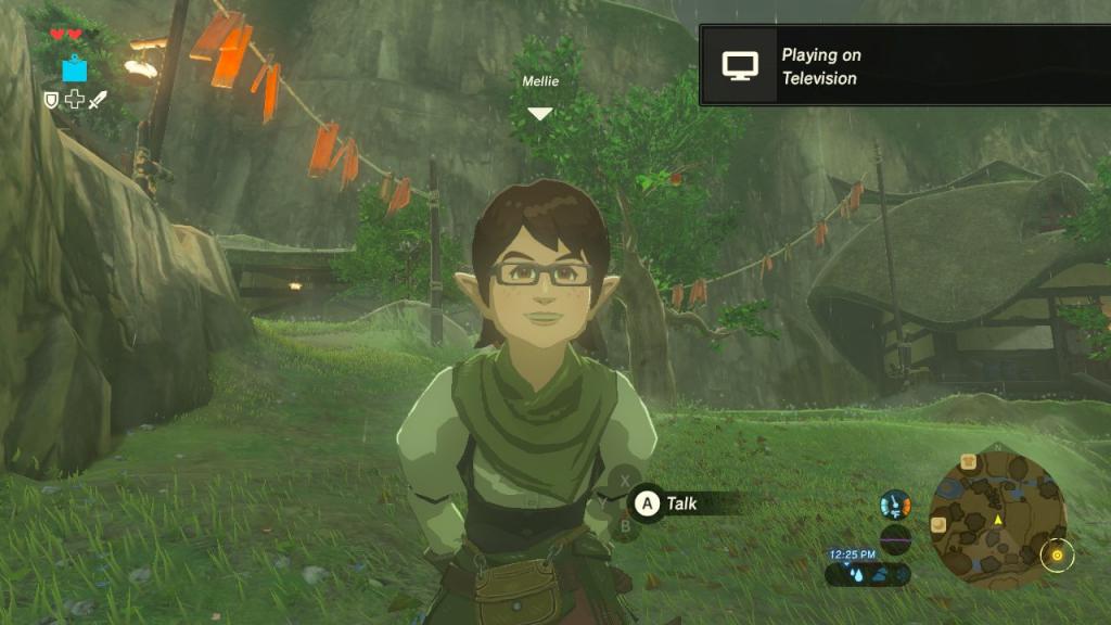 1609770066 910 Zelda Breath of the Wild los NPC son en realidad