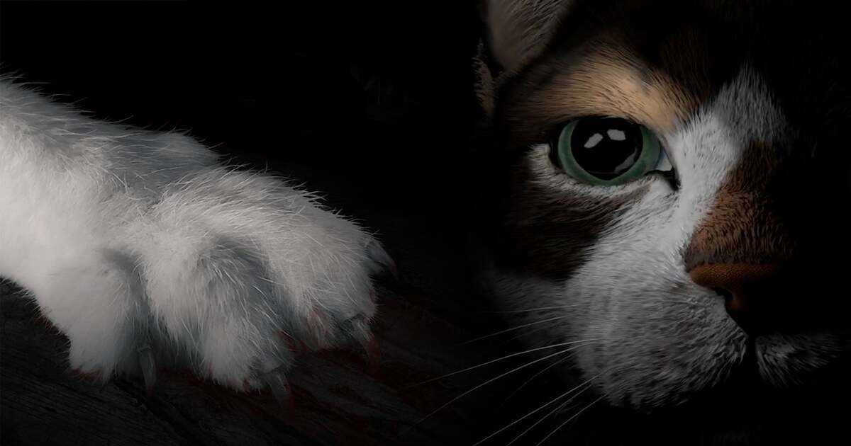 En este nuevo juego de terror, tienes que jugar como un gato. 1 En este nuevo juego de terror, tienes que jugar como un gato.