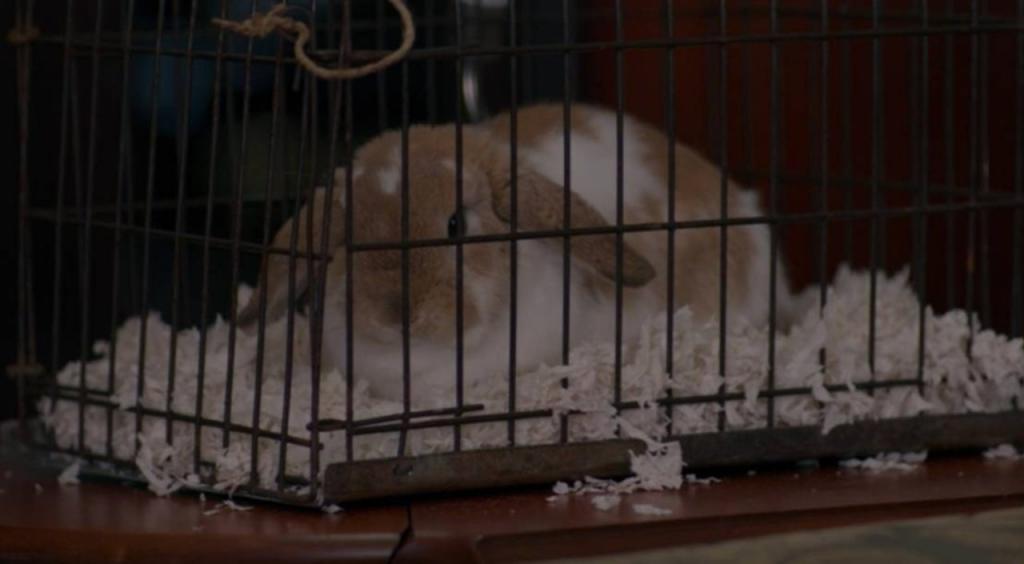 WandaVision: este demonio estaba bien planeado en el final de la serie antes de ser cortado en la edición 4 1615282925 799 WandaVision este demonio estaba bien planeado en el final de