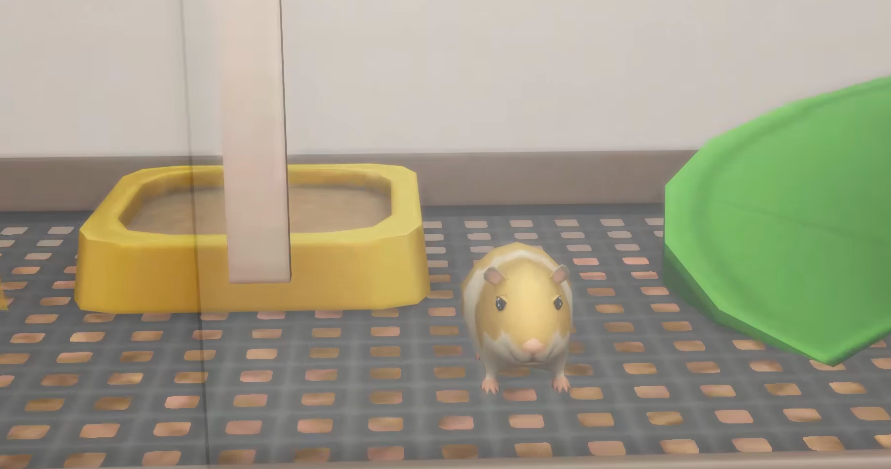 1615395371 527 Los Sims las 10 acciones mas horripilantes de los jugadores