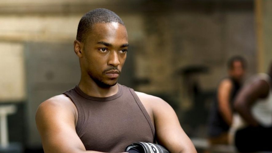 1616585706 550 Falcon and the Winter Soldier estos fans quieren sacar a