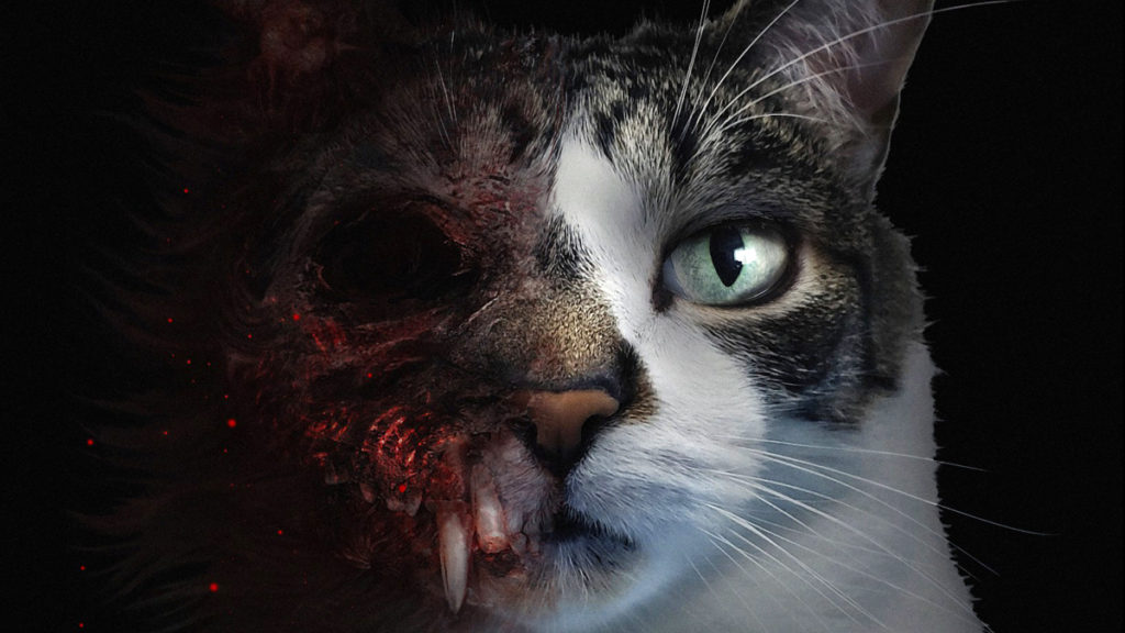 En este nuevo juego de terror, tienes que jugar como un gato. 2 En este nuevo juego de terror tienes que jugar como