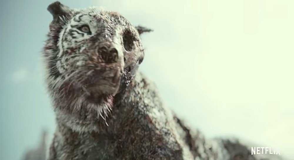 Army of the Dead: ¿Quién es inmune al virus y un título para la precuela?