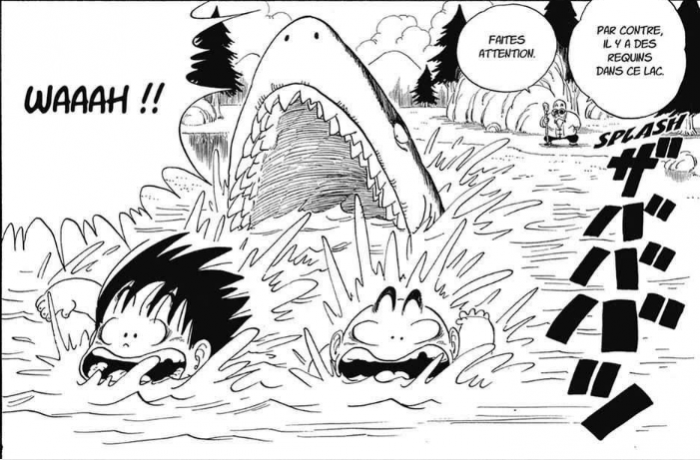 1619380087 925 Dragon Ball cinco pruebas de que Genius Turtle es el