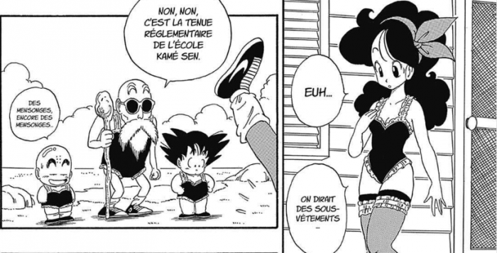 Dragon Ball cinco pruebas de que Genius Turtle es el