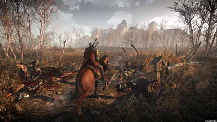 The Witcher 3: la versión de próxima generación será aún mejor y es gracias a ti 3 1620390246 85 The Witcher 3 la version de proxima generacion sera aun