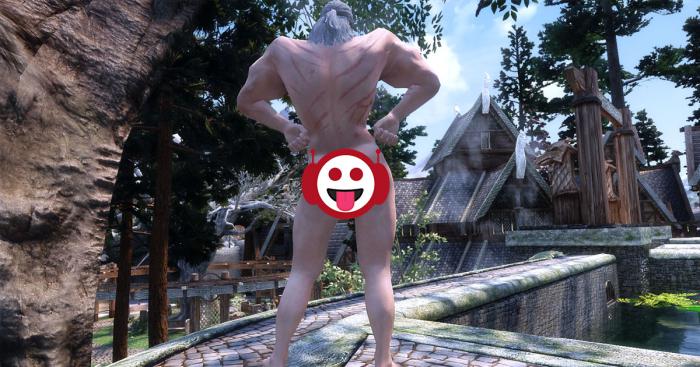 Skyrim este mod te permite ir acompanado de un Geralt