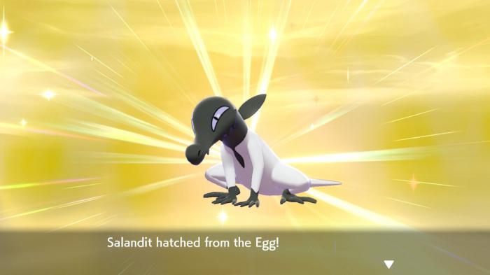 Pokémon: casi 600 huevos después, su Pokémon cromático no es el adecuado porque tiene testículos 4 1624984351 679 Pokemon casi 600 huevos despues su Pokemon cromatico no es