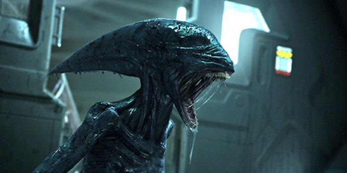 Marvel: ahora conocemos la gran debilidad de los xenomorfos 2 Marvel ahora conocemos la gran debilidad de los