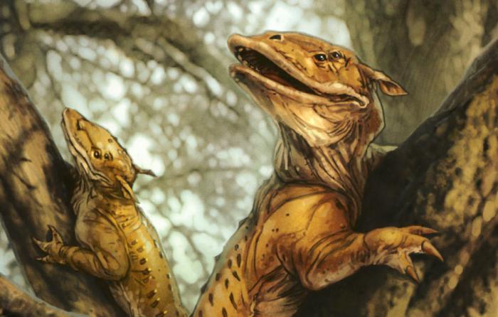 1625148726 285 Star Wars Kryptonite tambien existe para los Jedi