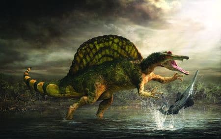 1625331126 610 Dinosaurios seis hechos sorprendentes que quizas no conozcas