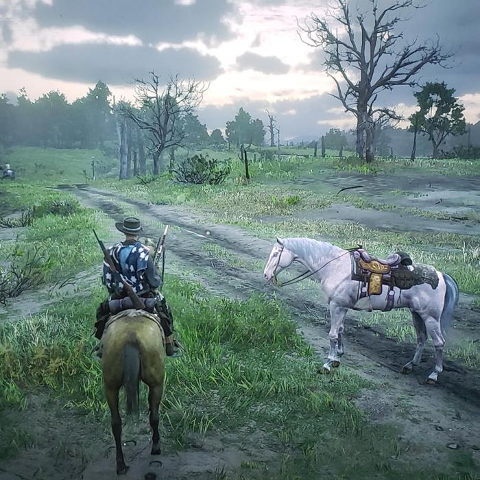 Red Dead Online con su ultima actualizacion el juego se