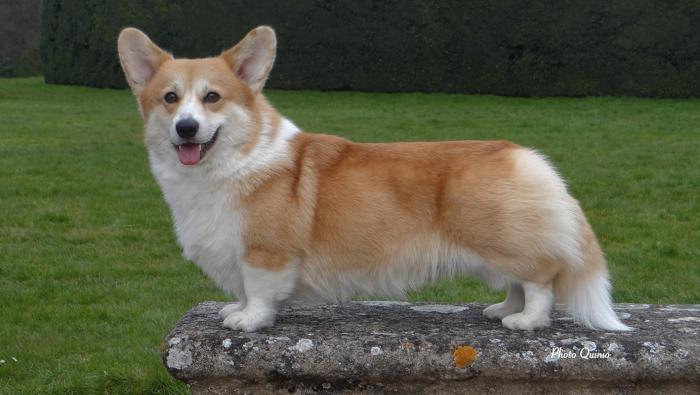 1636112647 43 14 hechos que parecen falsos pero muy reales parte 3