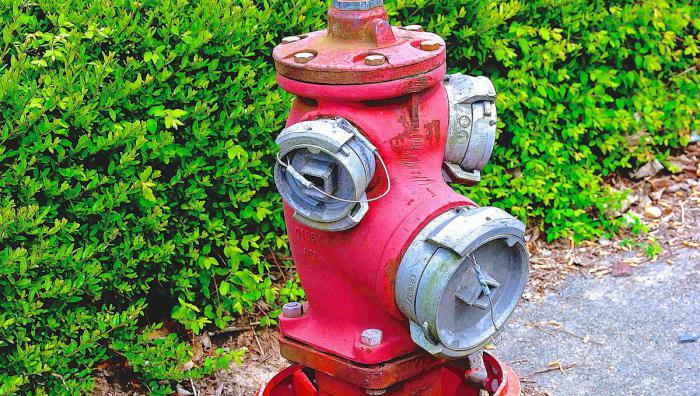 1636112647 591 14 hechos que parecen falsos pero muy reales parte 3