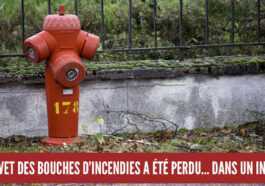 14 hechos que parecen falsos, pero muy reales (parte 3)