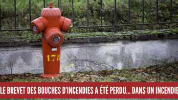 14 hechos que parecen falsos, pero muy reales (parte 3)