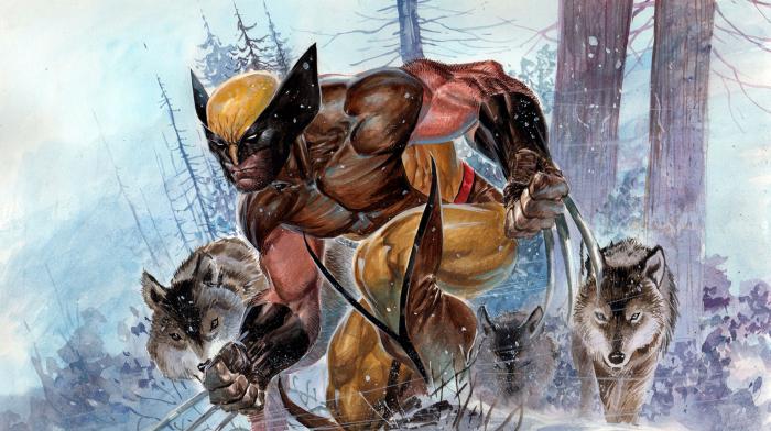 Marvel: 10 superpoderes que Wolverine se escondió de ti 12 1637964728 387 Marvel 10 superpoderes que Wolverine se escondio de ti