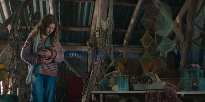 1638528967 399 Netflix despues de la lluvia descubre esta nueva serie de