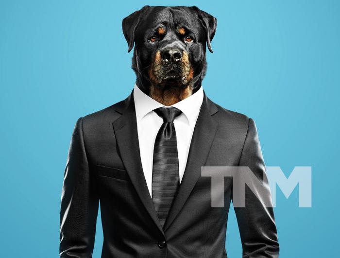 Skyrim: después de 10 años, los desarrolladores revelan cómo podrían haber sido los hombres lobo y es ridículo 5 1639135687 527 Skyrim despues de 10 anos los desarrolladores revelan como podrian