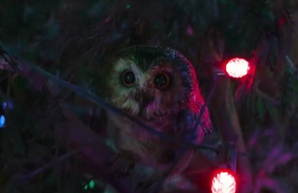 Hawkeye episodio 6:24 detalles y cosas para recordar en este último episodio 17 1640250255 913 Hawkeye episodio 624 detalles y cosas para recordar en este