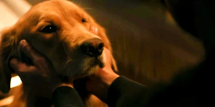 Hawkeye episodio 6:24 detalles y cosas para recordar en este último episodio 39 1640250256 988 Hawkeye episodio 624 detalles y cosas para recordar en este