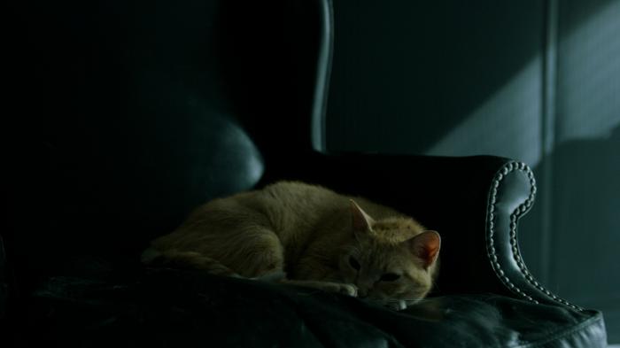 1640635686 367 La casa de Papel estos 10 errores que desacreditan la