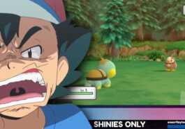 Pokémon Diamante / Perla: en su primera pelea, este jugador tuvo una suerte increíble (1/16 777 216)