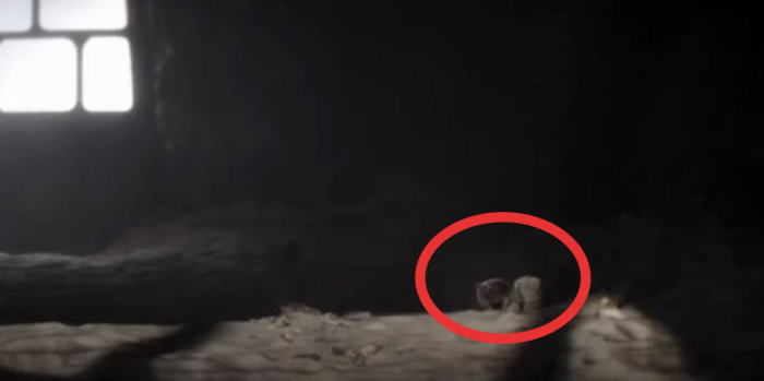 1641569527 500 The Book Of Boba Fett 16 detalles y cosas para