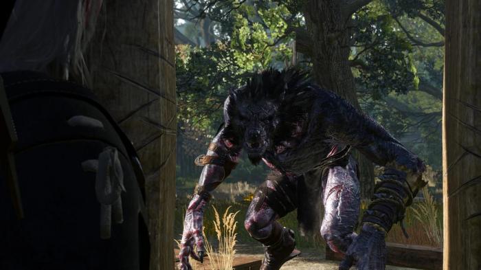 1642421767 13 The Witcher estas cinco criaturas a las que Geralt podria