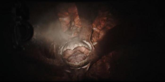 El The Book Of Boba Fett: Así se ve un Sarlacc bajo la arena 5 1642673767 711 El The Book Of Boba Fett Asi se ve un