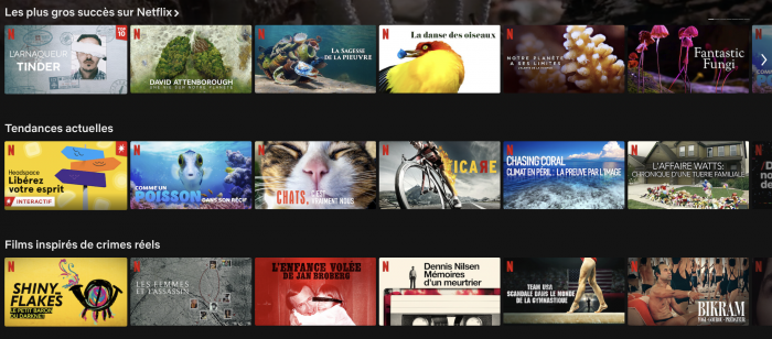 Netflix tras The Tinder Scammer preparan serie sobre esta famosa