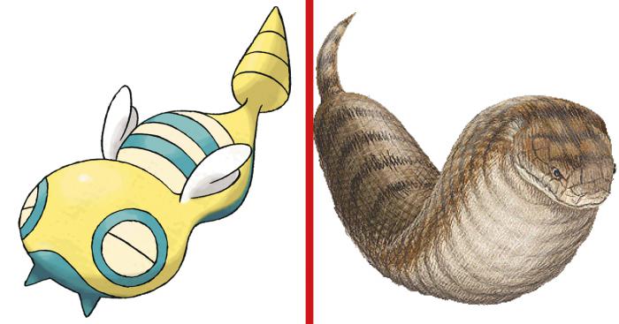 1647367689 567 Pokemon los origenes de estos 10 monstruos de bolsillo te