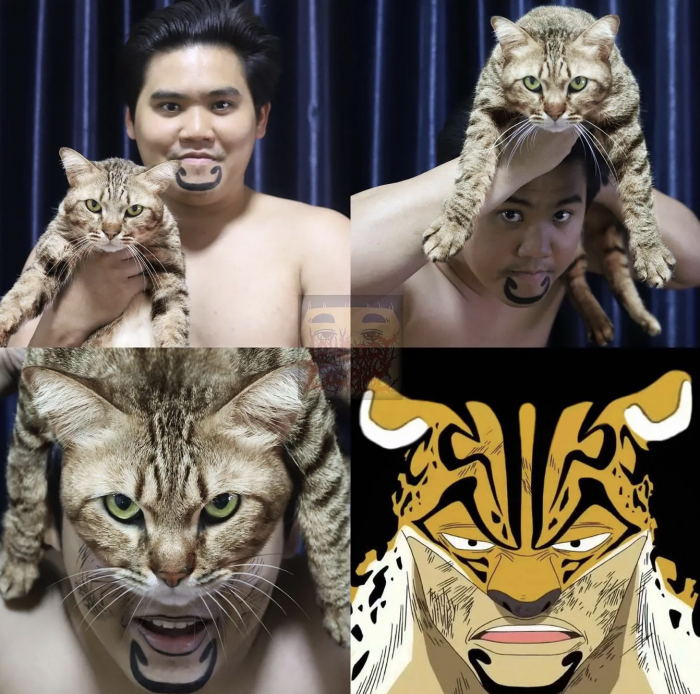 One Piece: el rey de los cosplayers low cost presenta su cosplay "sexy" por Nami 11 1647773287 741 One Piece el rey de los cosplayers low cost presenta