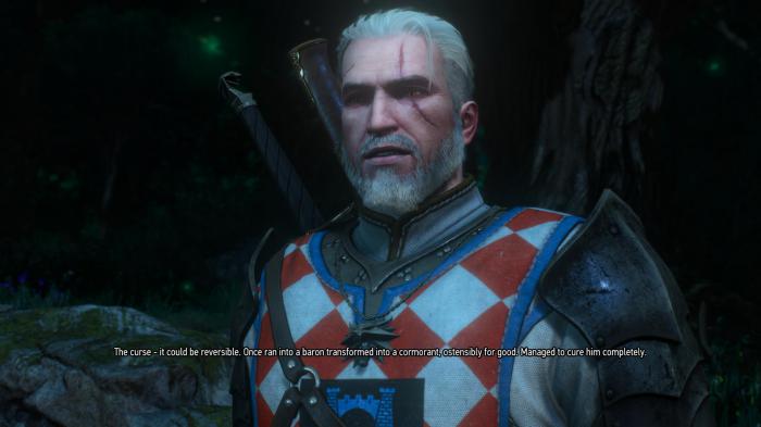 1647877926 453 The Witcher este nuevo easter egg descubierto 7 anos despues