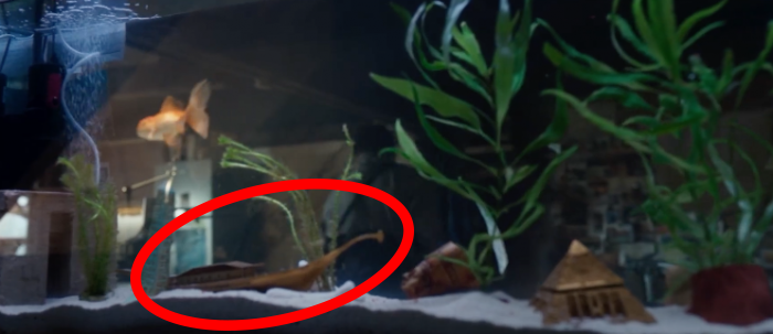 1648652416 872 Moon Knight 10 detalles y cosas para recordar en este