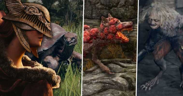 Elden Ring: cuidado con esta mafia ridícula que tiene errores y te mata de un tiro 1 Elden Ring: cuidado con esta mafia ridícula que tiene errores y te mata de un tiro