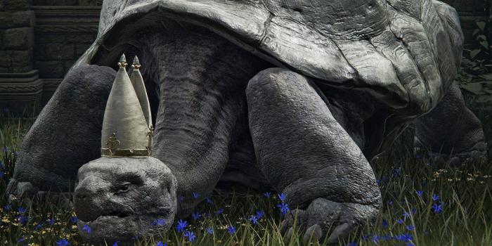 Elden Ring: hace lo irreparable para que otros jugadores no tengan que hacerlo 4 Elden Ring hace lo irreparable para que otros jugadores no