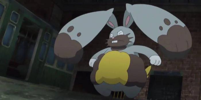 1650819610 410 Pokemon 10 datos que quizas no sabias sobre el tipo