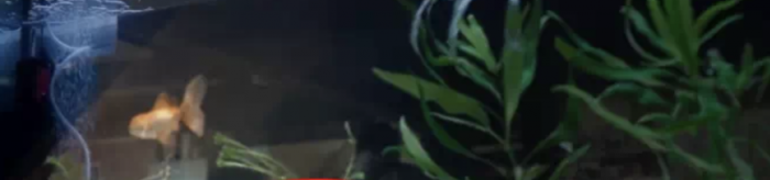 Moon Knight: 12 detalles y cosas para recordar en este episodio 5 16 1651076890 902 Moon Knight 12 detalles y cosas para recordar en este