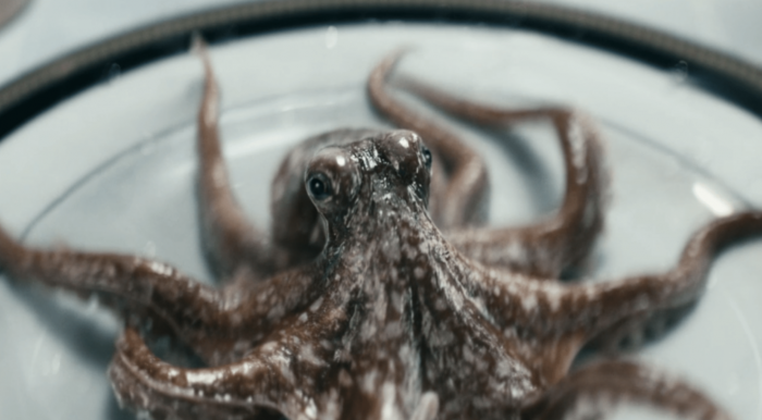 1654938247 950 The Boys temporada 3 esta inquietante escena con un pulpo