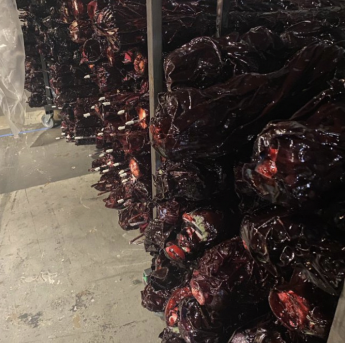 1656337447 503 Stranger Things las 30 fotos mas geniales del set de