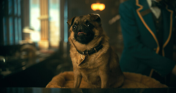 1656608167 918 Umbrella Academy 12 detalles y huevos de Pascua que quizas