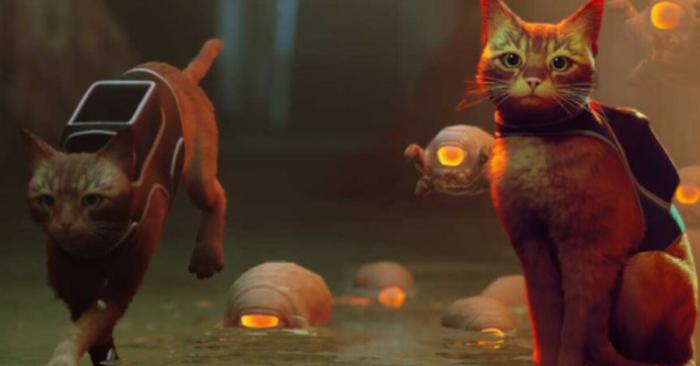 Stray: este speedrunner termina el juego sin sufrir el menor daño (video) 2 Stray este speedrunner termina el juego sin sufrir el menor