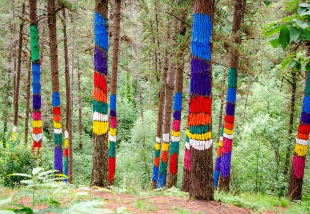 1662305289 795 Pokemon PurpuraEscarlata Nintendo presenta este nuevo Pokemon con un tipo