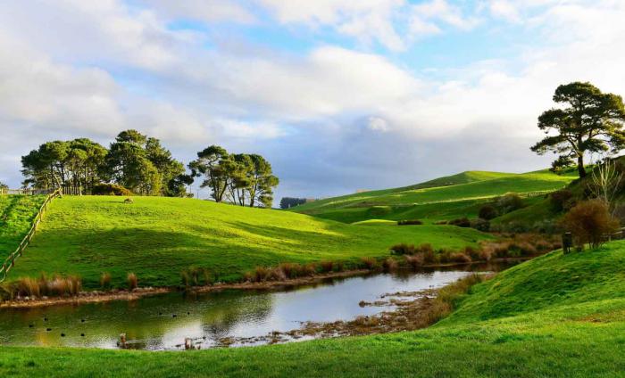 1662456247 903 The Rings of Power asi es como los Woodworms de