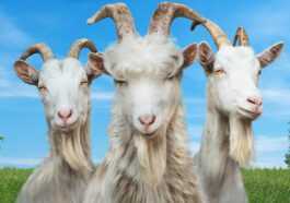 Goat Simulator 3: las cabras están de vuelta con una mega edición de coleccionista