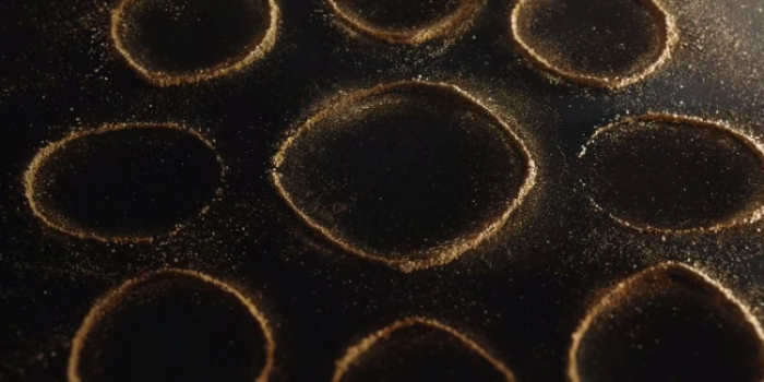 El Senor de los Anillos estos 8 detalles que no